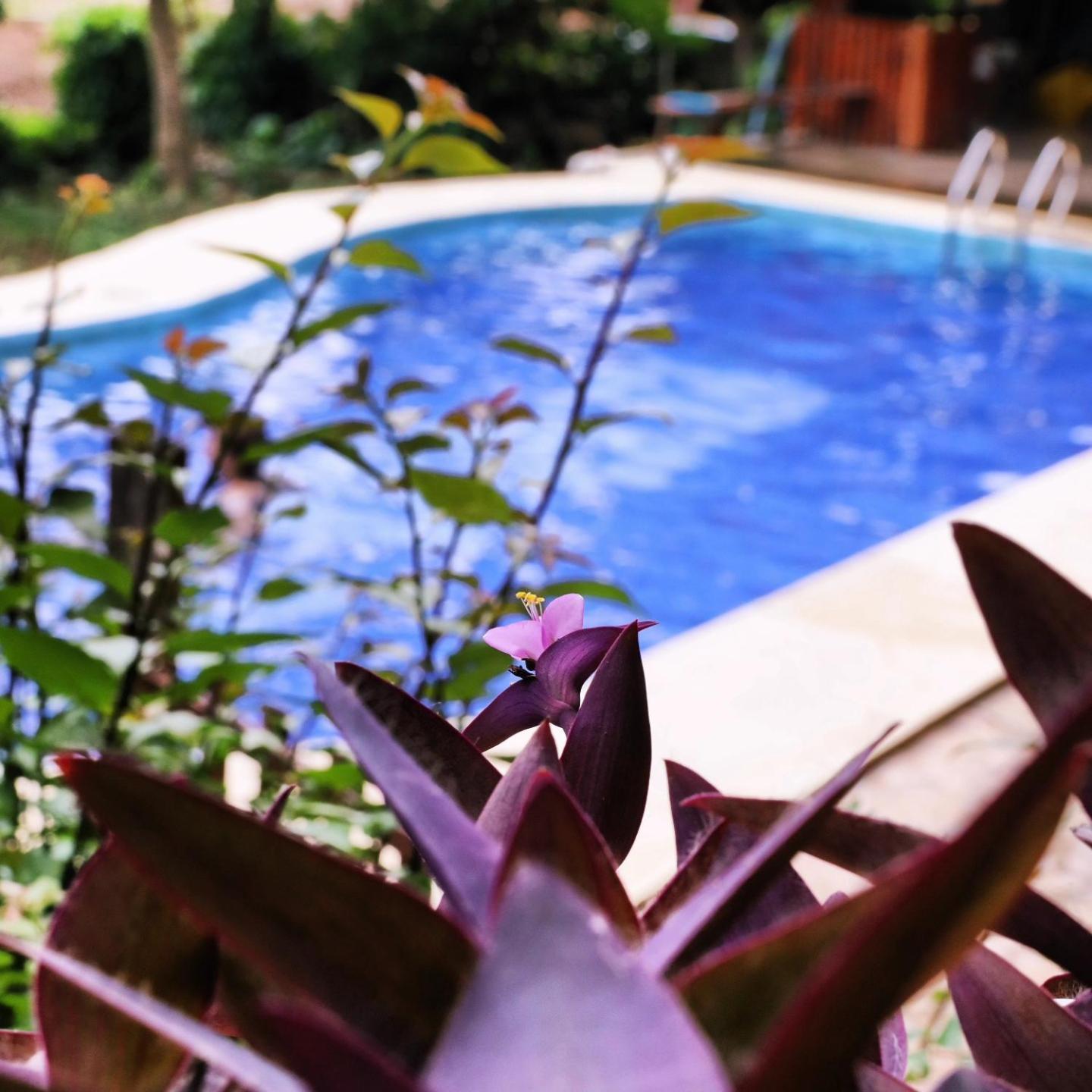 Lobo Hostel - Rurrenabaque (Adults Only) Екстер'єр фото