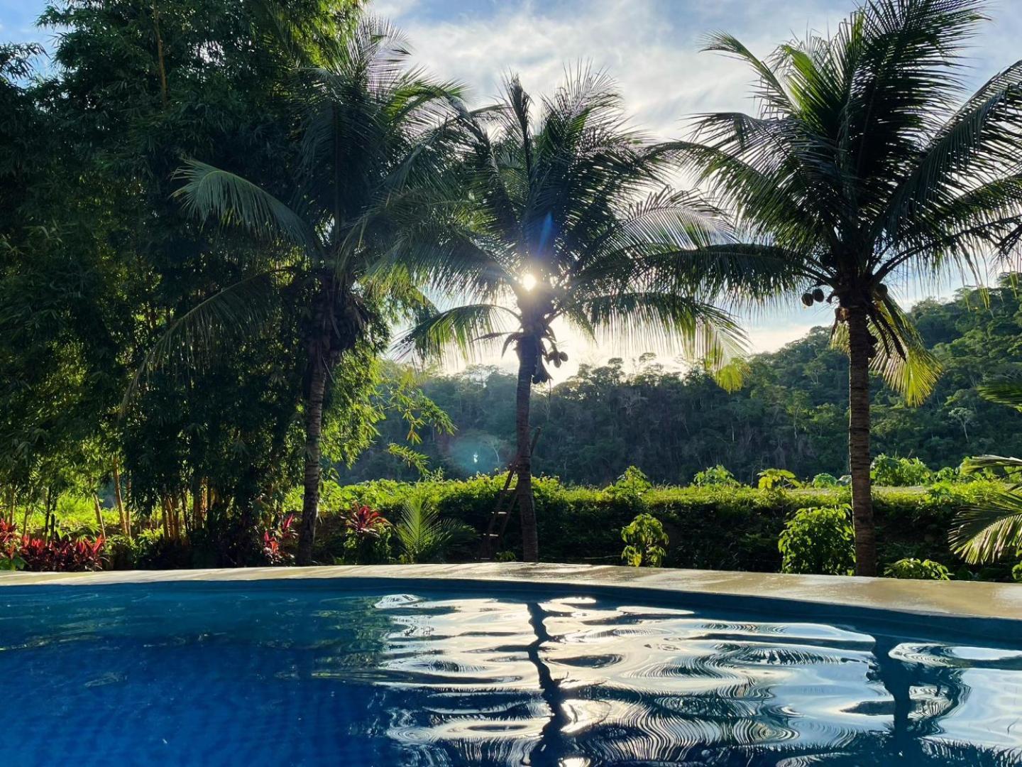 Lobo Hostel - Rurrenabaque (Adults Only) Екстер'єр фото