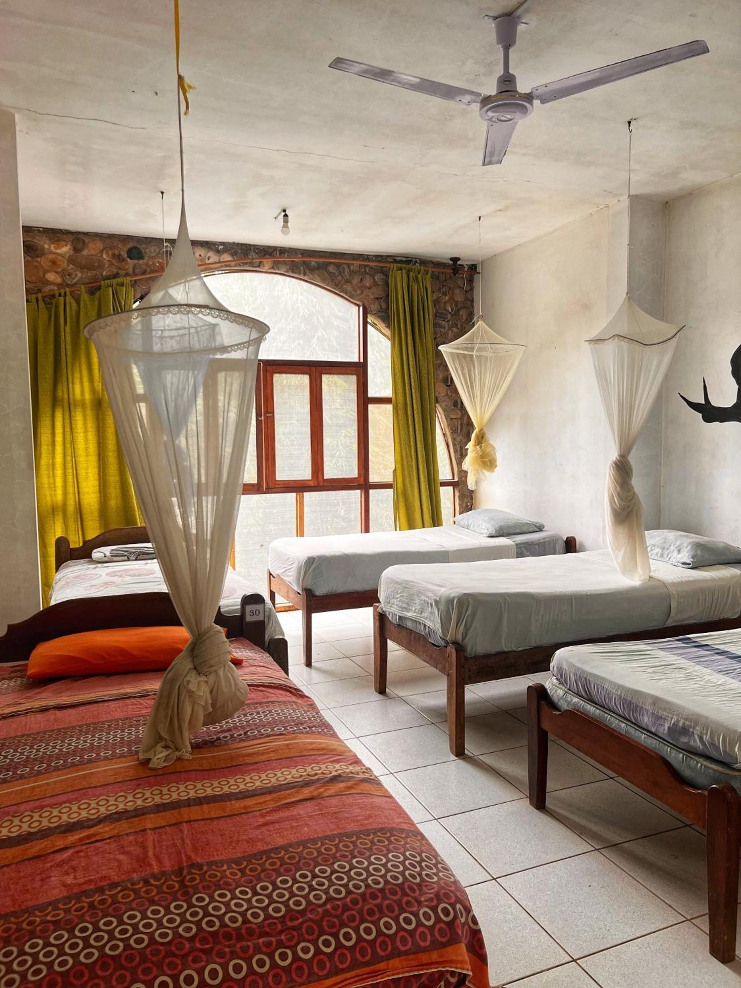 Lobo Hostel - Rurrenabaque (Adults Only) Екстер'єр фото