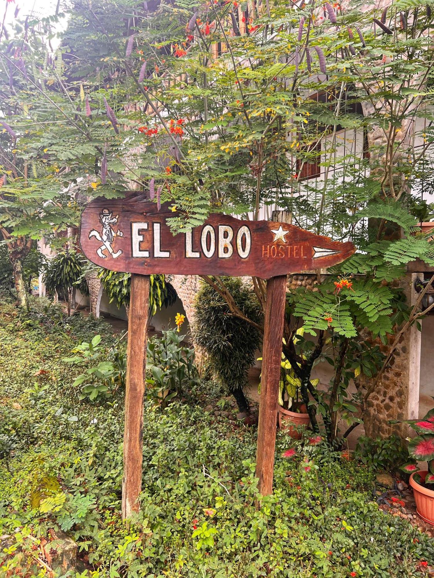 Lobo Hostel - Rurrenabaque (Adults Only) Екстер'єр фото