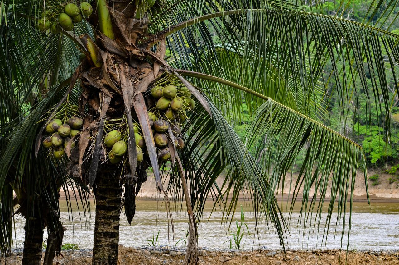 Lobo Hostel - Rurrenabaque (Adults Only) Екстер'єр фото